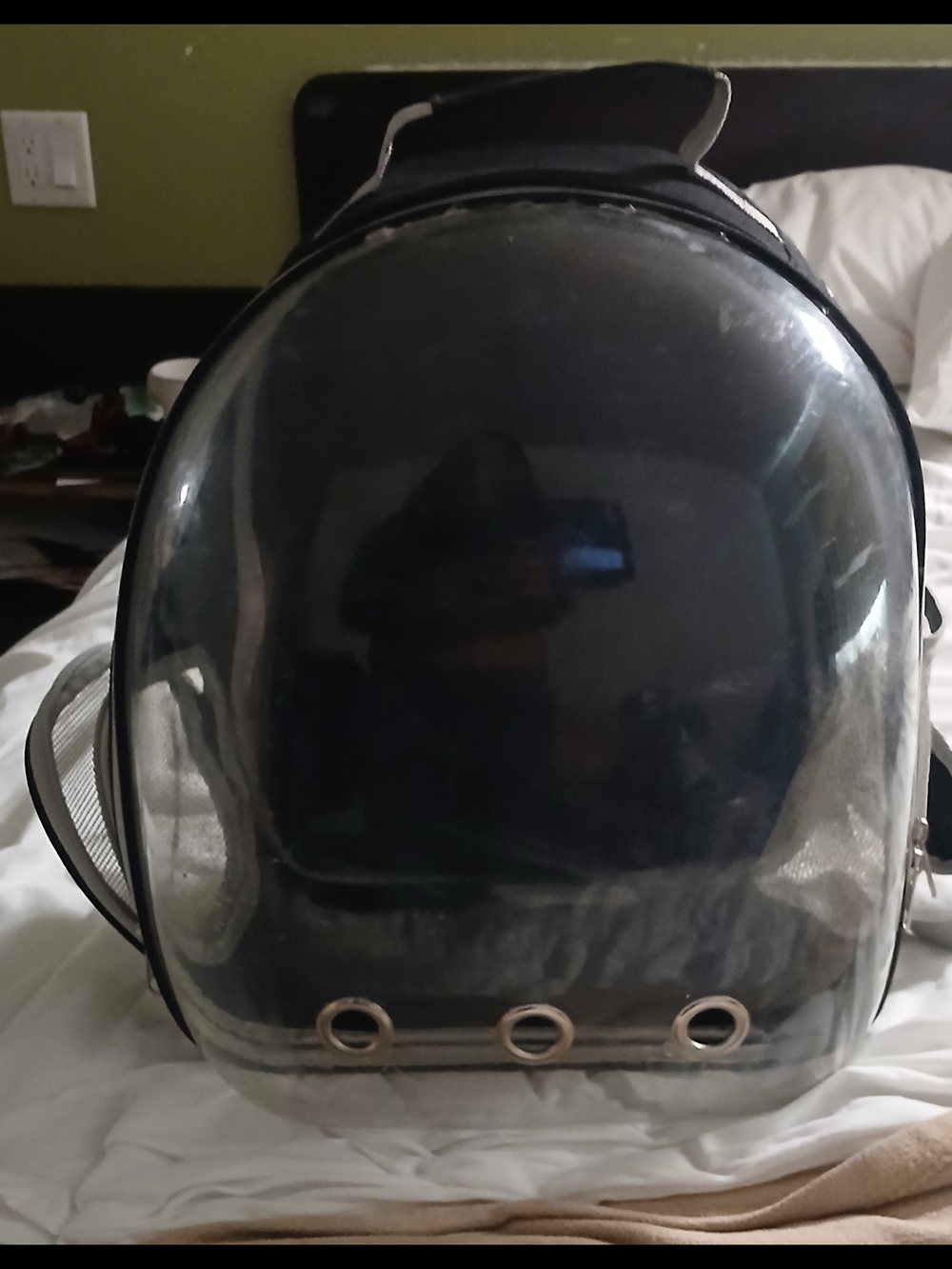 Clear Bubble Pet Carrier Backpack - Black Trim